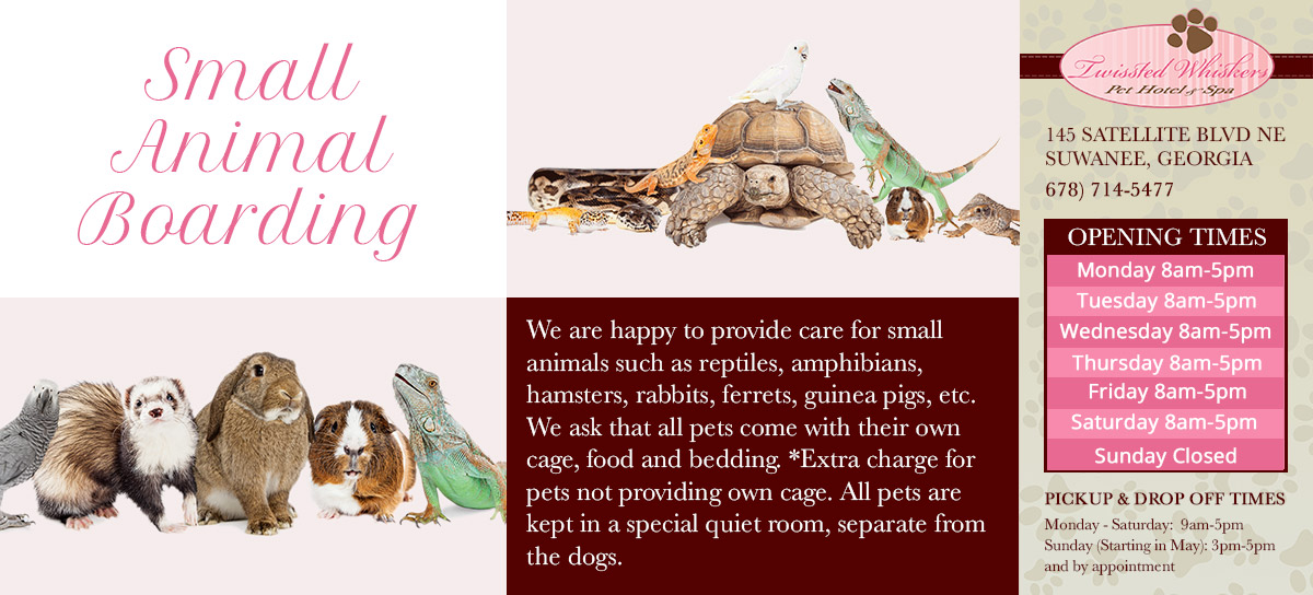 Home Dog Daycare Boarding Grooming TwisstedWhiskers Pet Hotel