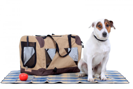 Dog overnight bag best sale