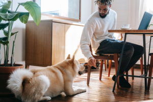 A man working from home and playing with his dog