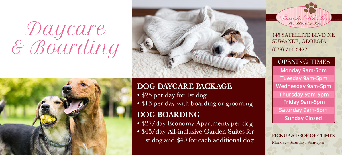 daycare and boarding