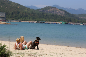 Two women relax on the beach with a dog, enjoying the sun and sand together.