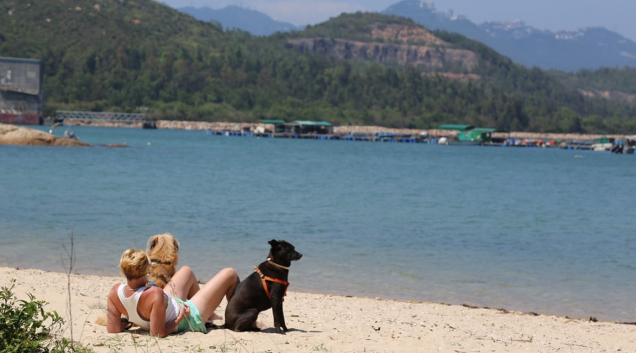 Two women relax on the beach with a dog, enjoying the sun and sand together.