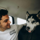 Traveling with Pets: Essential Tips for a Safe and Stress-Free Journey