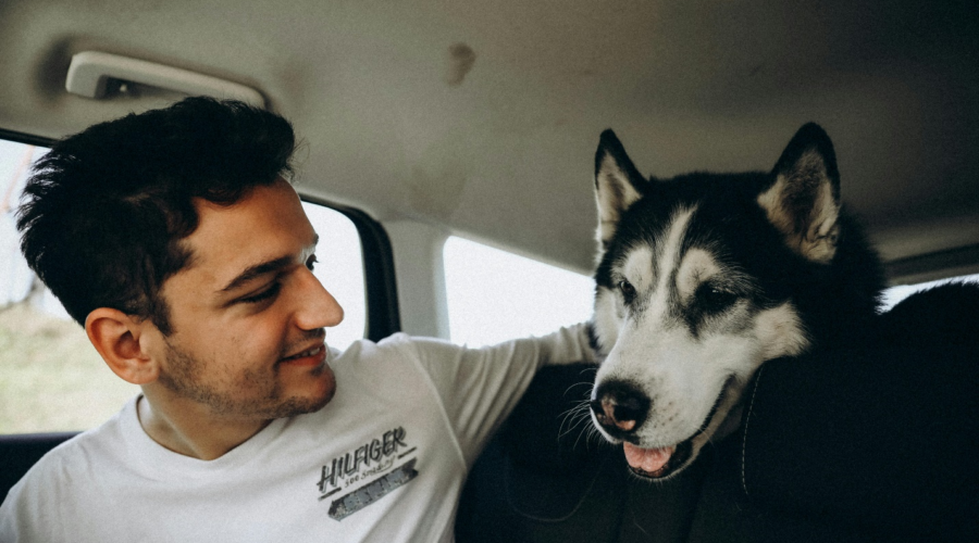 Traveling with Pets
