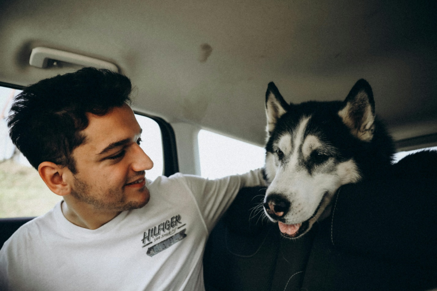 Traveling with Pets