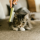 The Benefits of Regular Grooming for Your Pet’s Health and Happiness